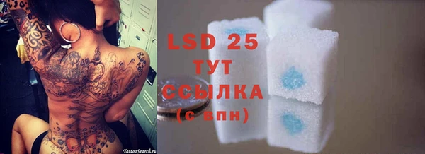 гашик Балахна