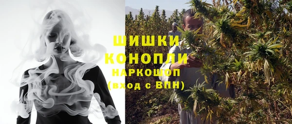 гашик Балахна