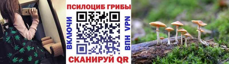 Галлюциногенные грибы мицелий  MEGA рабочий сайт  Сосновоборск  закладка 